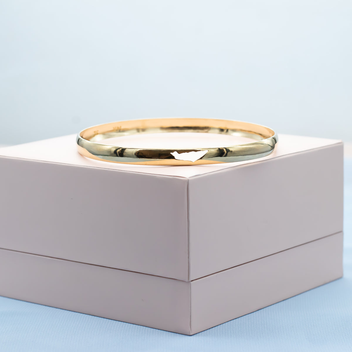 TLV | Gold Bangle with Israel Map