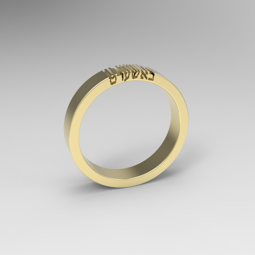 BASHERT Gold Ring - 14K Gold band, Hebrew Word, Jewish Jewelry, Jewish Wedding Gift, Symbolic Unique Gold ring, Secret engraving באשערט