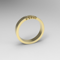 BASHERT Gold Ring - 14K Gold band, Hebrew Word, Jewish Jewelry, Jewish Wedding Gift, Symbolic Unique Gold ring, Secret engraving באשערט
