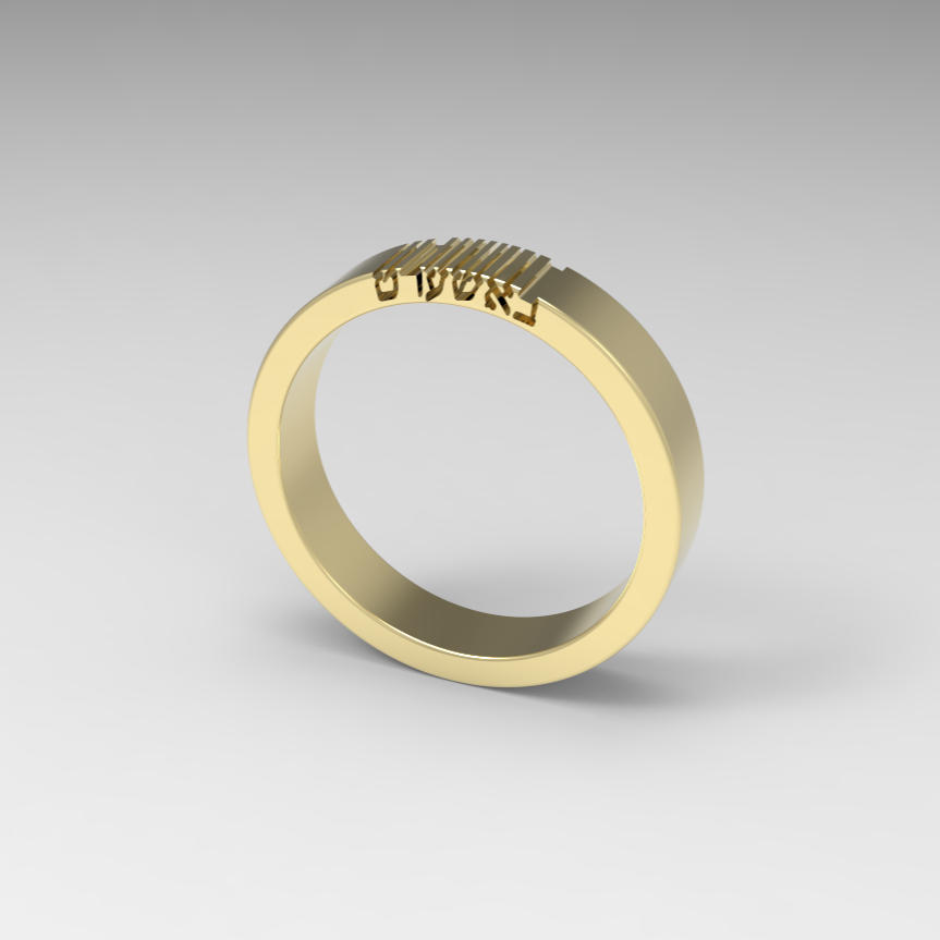 BASHERT Gold Ring - 14K Gold band, Hebrew Word, Jewish Jewelry, Jewish Wedding Gift, Symbolic Unique Gold ring, Secret engraving באשערט