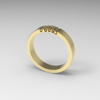 BASHERT Gold Ring - 14K Gold band, Hebrew Word, Jewish Jewelry, Jewish Wedding Gift, Symbolic Unique Gold ring, Secret engraving באשערט