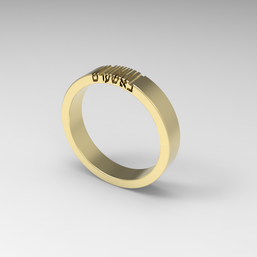 BASHERT Gold Ring - 14K Gold band, Hebrew Word, Jewish Jewelry, Jewish Wedding Gift, Symbolic Unique Gold ring, Secret engraving באשערט