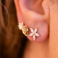 Rose Flower Stud Earrings