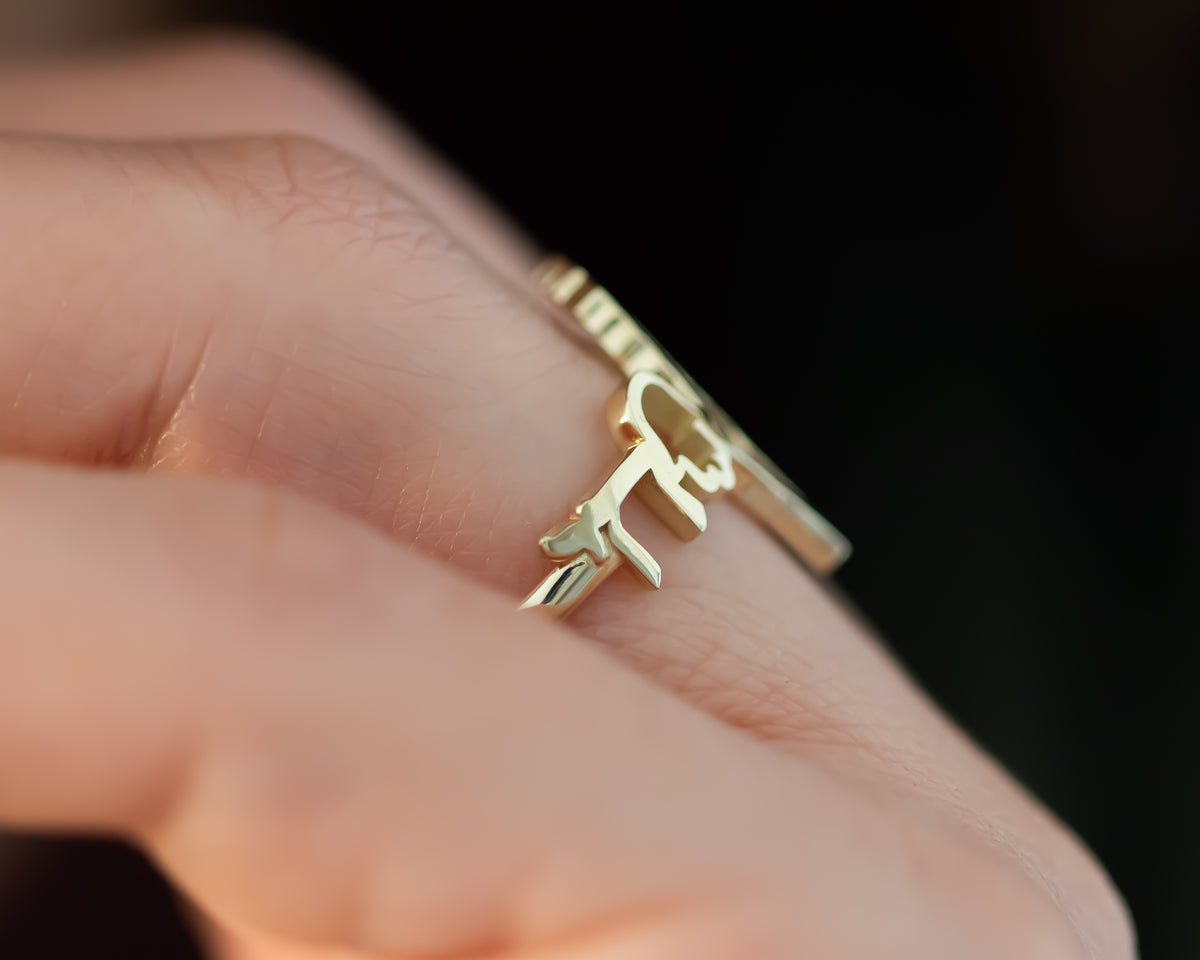 Israeli Symbols Ring