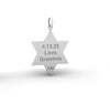 Star of David Lion Pendant Necklace For Men