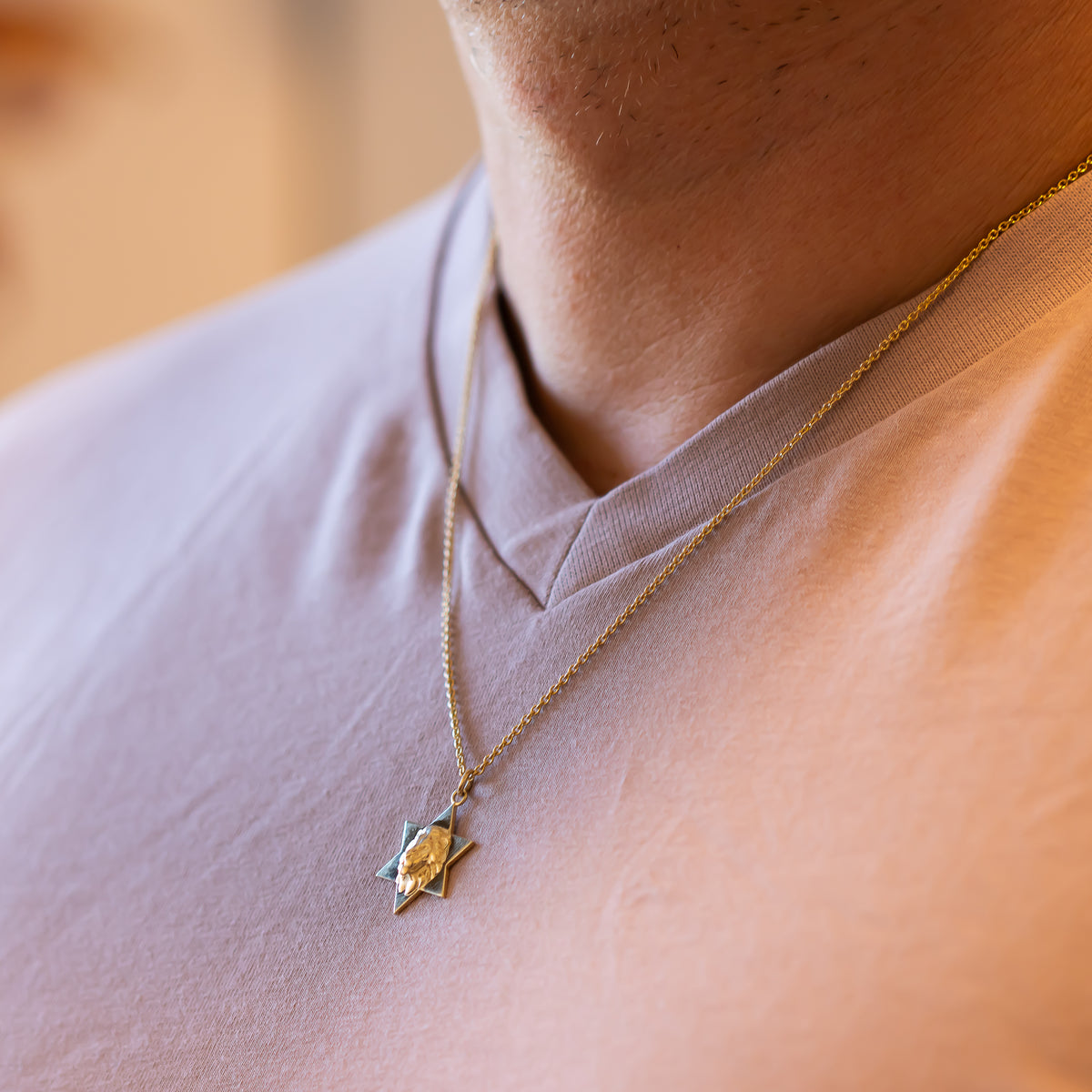 Star of David Lion Pendant Necklace For Men