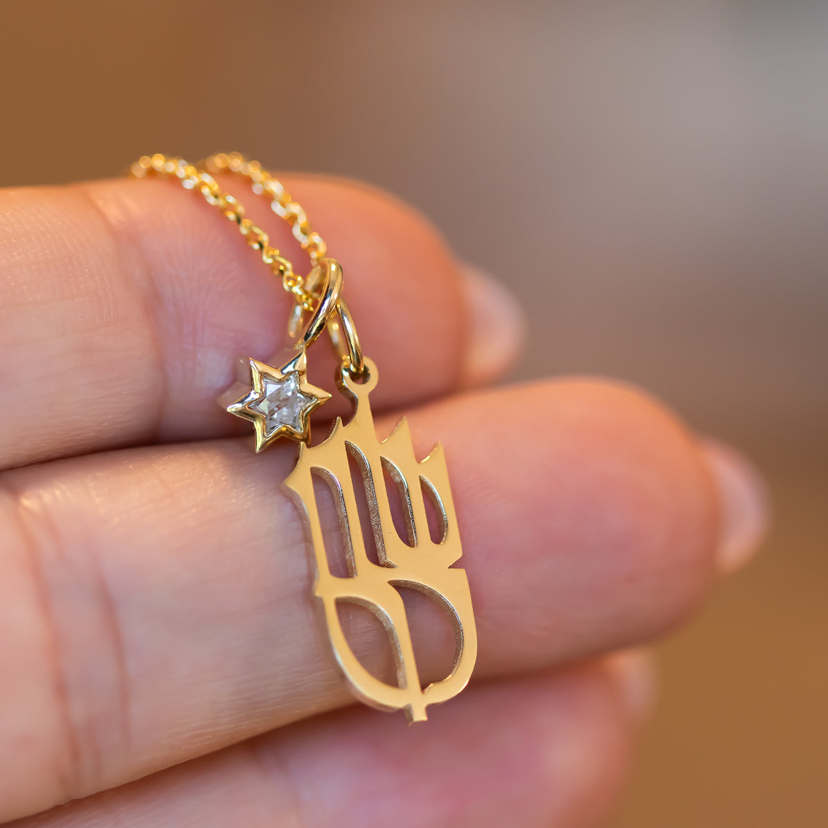 Shalom שלום Pendant charm necklace with Star of David Diamond charm pendant in 14k gold