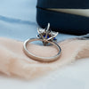 Sapphire & Diamonds Star of David Ring