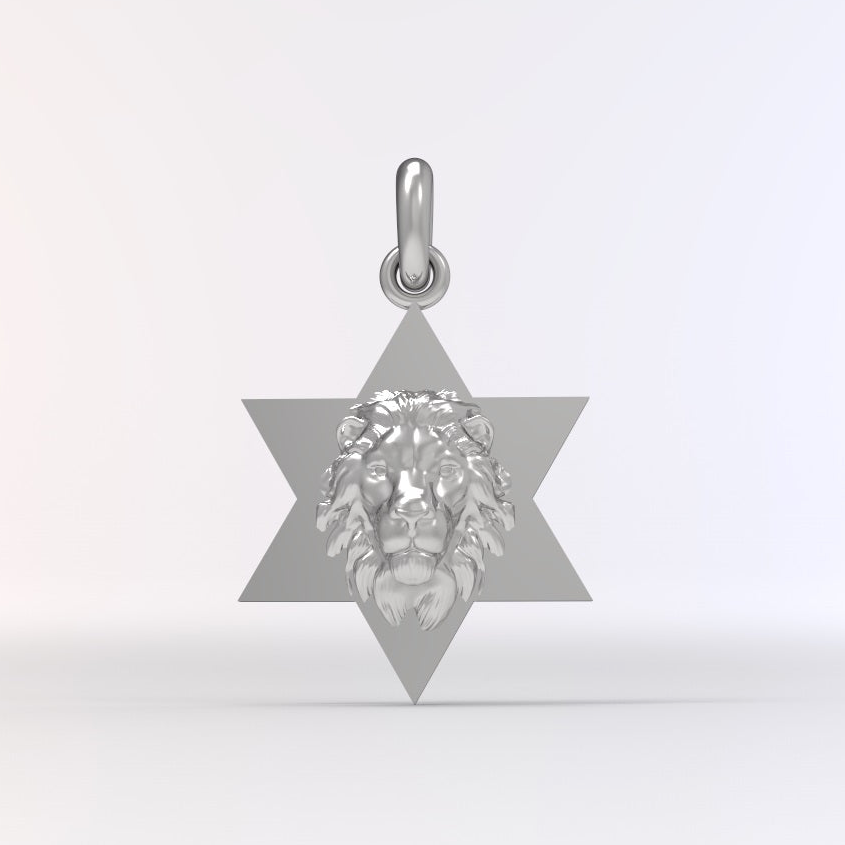 Star of David Lion Pendant Necklace For Men