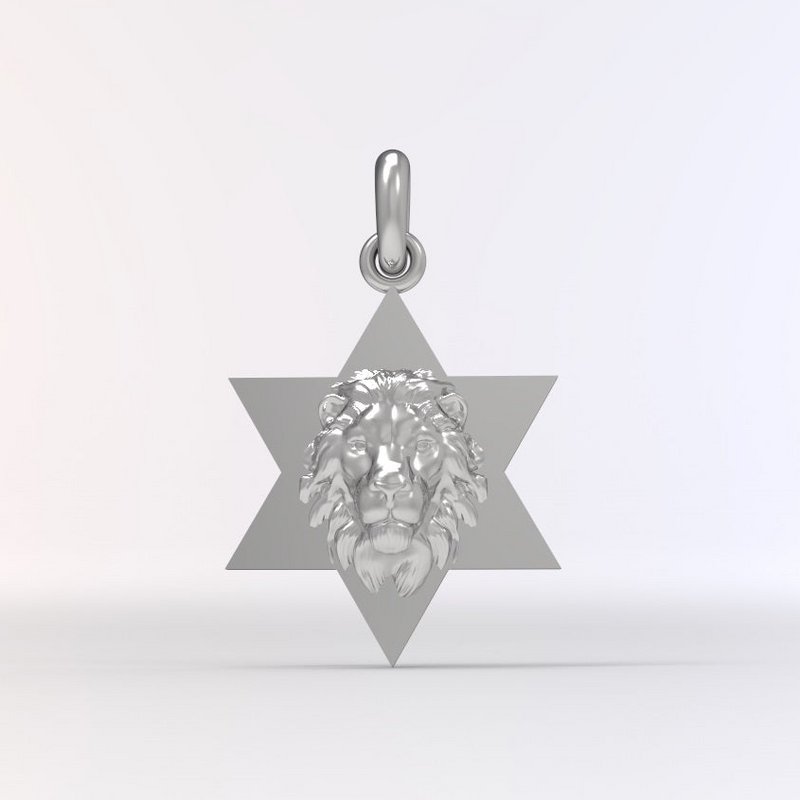 Star of David Lion Pendant Necklace For Men