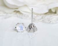 Moonstone Stud Earrings