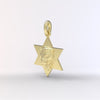 Star of David Lion Neckace For Men, Israel Lion Star of David Pendant, 14K Gold Magen David Necklace For Men, Israel Lion, Made In Israel