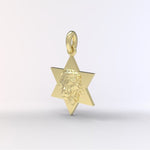 Star of David Lion Neckace For Men, Israel Lion Star of David Pendant, 14K Gold Magen David Necklace For Men, Israel Lion, Made In Israel