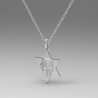 Star of David Lion Neckace For Men, Israel Lion Star of David Pendant, 14K Gold Magen David Necklace For Men, Israel Lion, Made In Israel