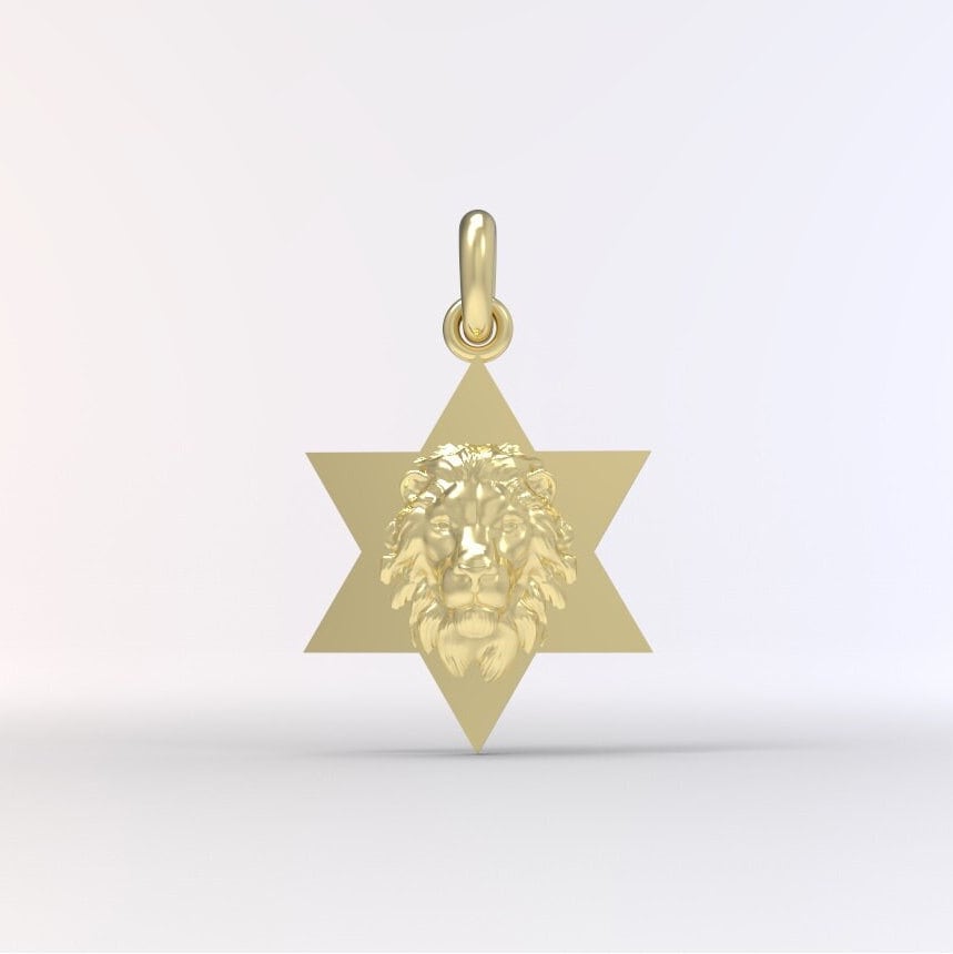 Star of David Lion Neckace For Men, Israel Lion Star of David Pendant, 14K Gold Magen David Necklace For Men, Israel Lion, Made In Israel
