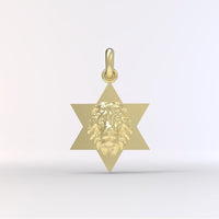 Star of David Lion Neckace For Men, Israel Lion Star of David Pendant, 14K Gold Magen David Necklace For Men, Israel Lion, Made In Israel