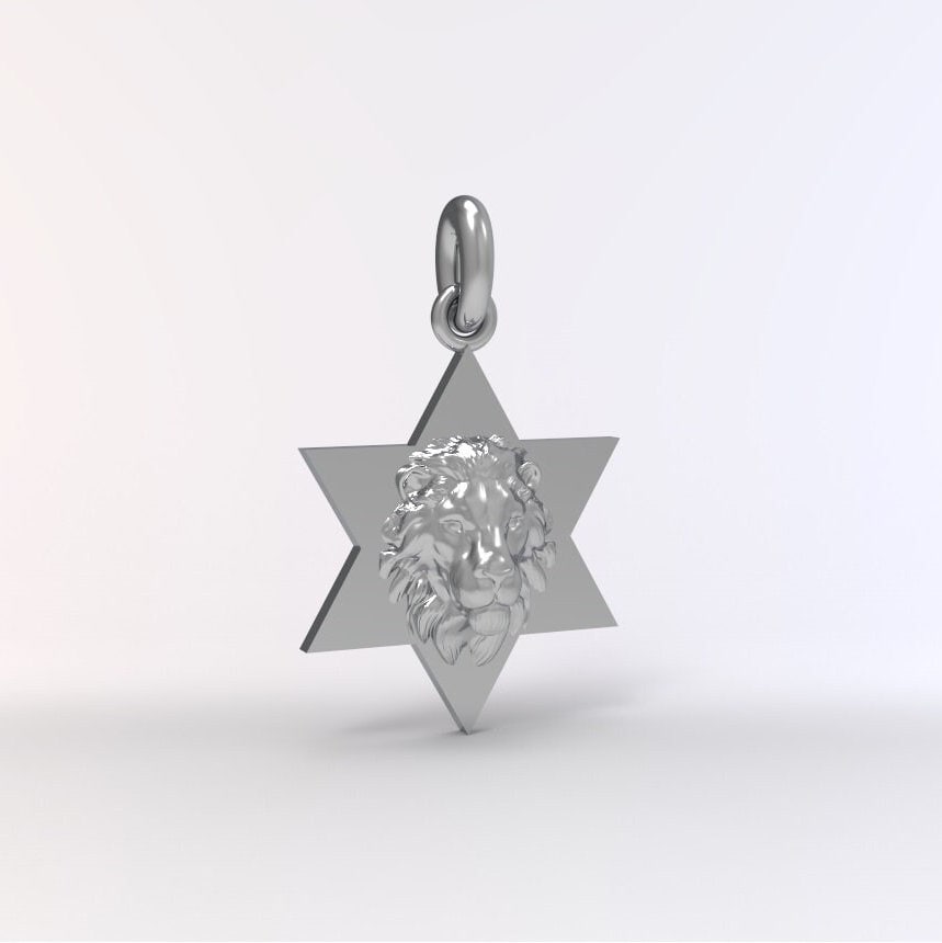 Star of David Lion Neckace For Men, Israel Lion Star of David Pendant, 14K Gold Magen David Necklace For Men, Israel Lion, Made In Israel