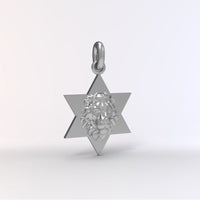 Star of David Lion Neckace For Men, Israel Lion Star of David Pendant, 14K Gold Magen David Necklace For Men, Israel Lion, Made In Israel