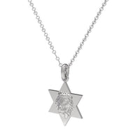 Star of David Lion Neckace For Men, Israel Lion Star of David Pendant, 14K Gold Magen David Necklace For Men, Israel Lion, Made In Israel