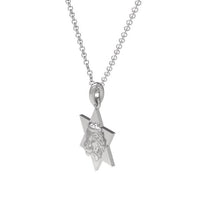 Star of David Lion Neckace For Men, Israel Lion Star of David Pendant, 14K Gold Magen David Necklace For Men, Israel Lion, Made In Israel