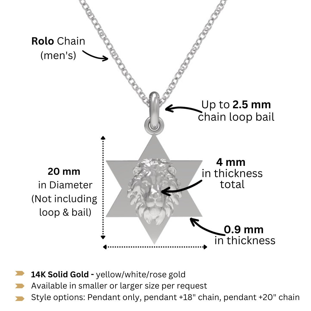 Star of David Lion Neckace For Men, Israel Lion Star of David Pendant, 14K Gold Magen David Necklace For Men, Israel Lion, Made In Israel