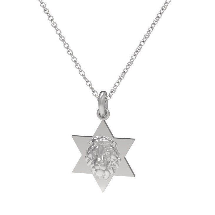 Star of David Lion Neckace For Men, Israel Lion Star of David Pendant, 14K Gold Magen David Necklace For Men, Israel Lion, Made In Israel