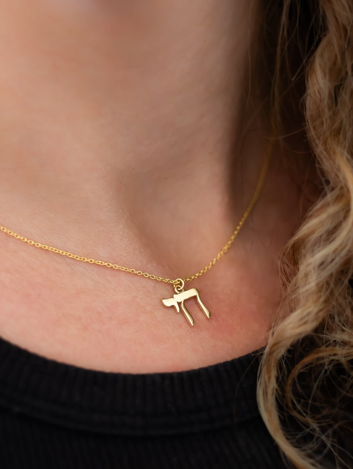 Chai Pendant Necklace, 14k Gold Chai Pendant Necklace, Chai Necklace Charm